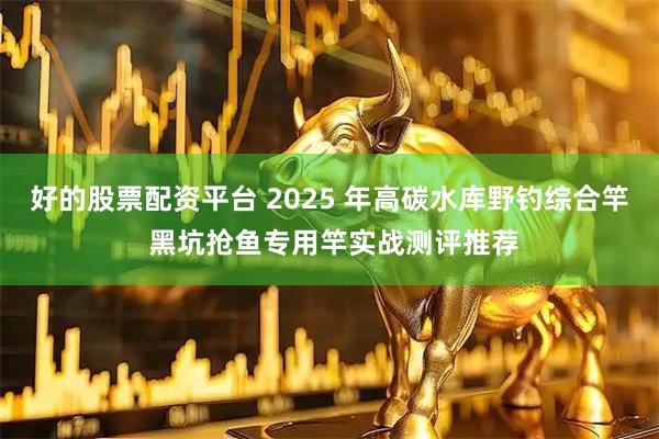 好的股票配资平台 2025 年高碳水库野钓综合竿 黑坑抢鱼专用竿实战测评推荐