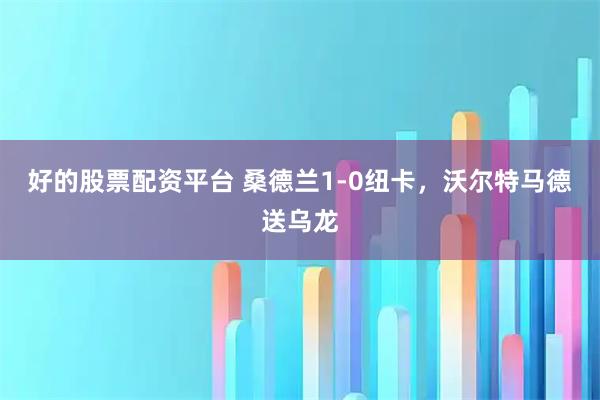 好的股票配资平台 桑德兰1-0纽卡，沃尔特马德送乌龙