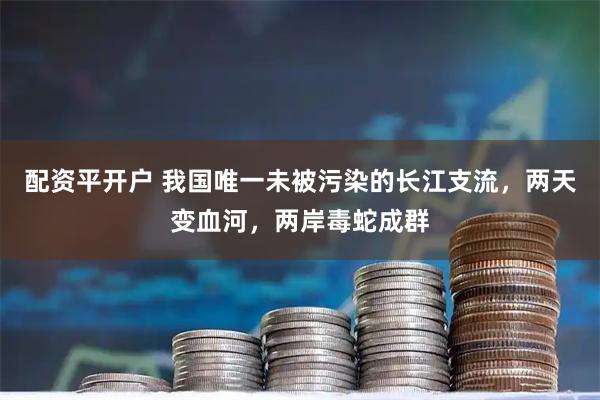 配资平开户 我国唯一未被污染的长江支流，两天变血河，两岸毒蛇成群
