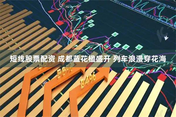 短线股票配资 成都蓝花楹盛开 列车浪漫穿花海