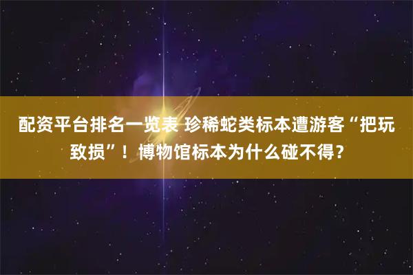配资平台排名一览表 珍稀蛇类标本遭游客“把玩致损”！博物馆标本为什么碰不得？